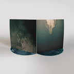 Wye Oak - Civilian/Cut All the Wires: 2009-2011 ( VINYL )