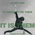 Guided by Voices - It's Not Them. It Couldn't Be Them. It Is Them! ( VINYL )