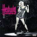 Stephen Trask - Hedwig And The Angry Inch - Original Cast Recording ( VINYL )