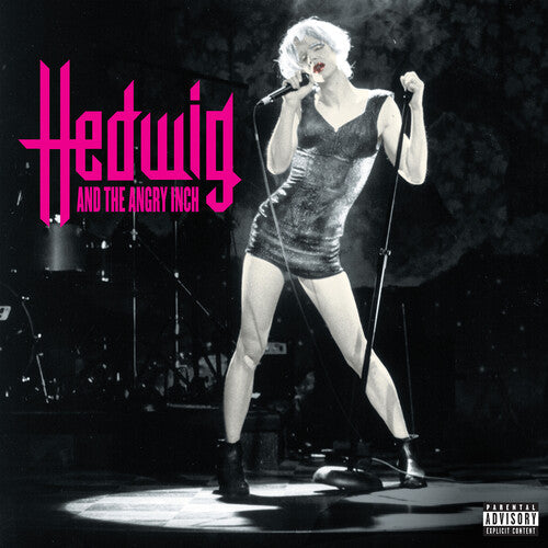 Stephen Trask - Hedwig And The Angry Inch - Original Cast Recording ( VINYL )