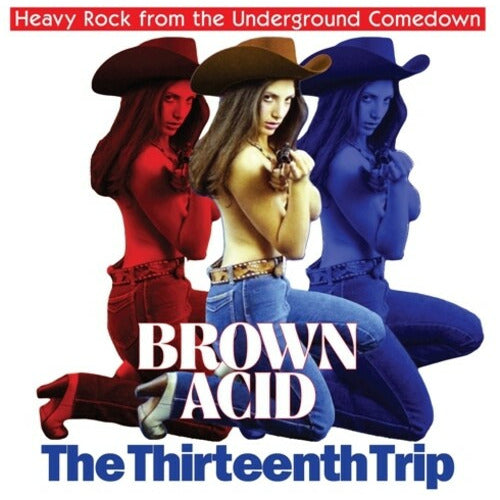 Various Artists - Brown Acid - The Thirteenth Trip ( VINYL )