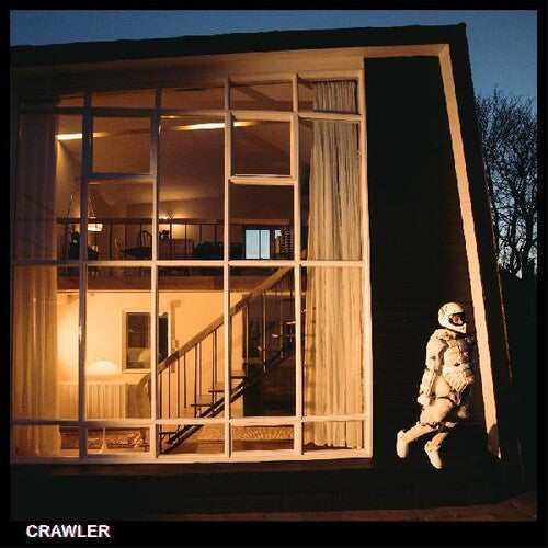 Idles - Crawler ( VINYL )