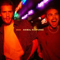 Sein: Animal Nocturne  ( CD )