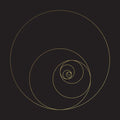 The Ocean: Phanerozoic Live - VINYL