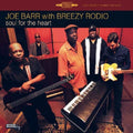 Joe Barr: Soul For The Heart - Vinyl