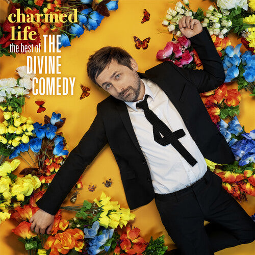 The Divine Comedy - Charmed Life - The Best Of The Divine Comedy ( VINYL )