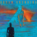 Dream Unending: Tide Turns Eternal - VINYL