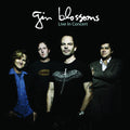 Gin Blossoms: Live In Concert - VINYL