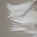 Rob Burger: Marching With Feathers  ( CD )