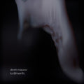Dimitri Mazurov: Rudiments  ( CD )