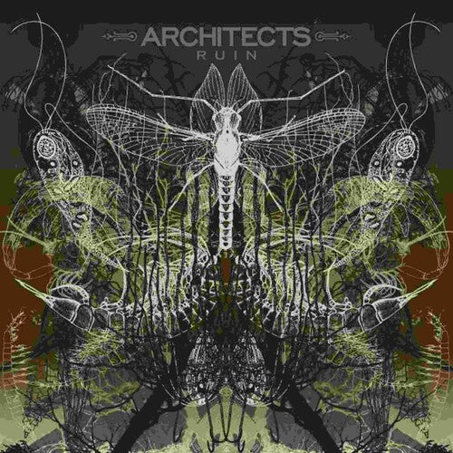 Architects: Ruin - VINYL