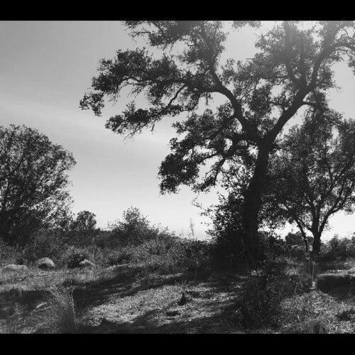 Zoh Amba: O Sun - CD