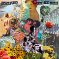 Mamas Gun: Cure The Jones - VINYL