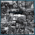 Geography of Hell: Verdun 1916 - Vinyl