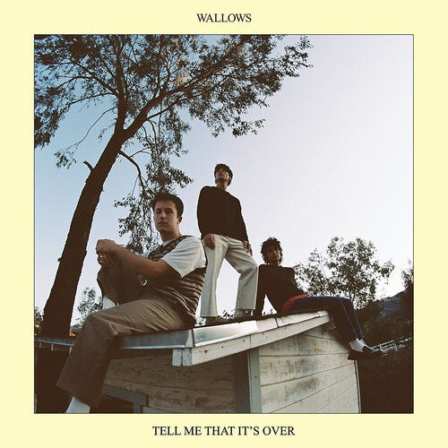 Wallows - Tell Me That It's Over ( VINYL )