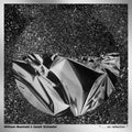 william basinksi: . . . on reflection  ( CD )