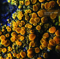 Atsuko Hatano: Cells 2 - CASSETTES