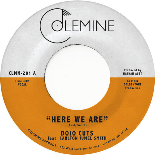 Dojo Cuts: Here We Are (Coke Bottle Clear) - VINYL