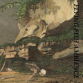 Rainforest Spiritual Enslavement: Flying Fish Ambience  ( CD )