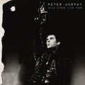 Peter Murphy - Wild Birds Live Tour ( VINYL )