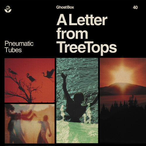 Pneumatic Tubes: Letter From Treetops  ( CD )