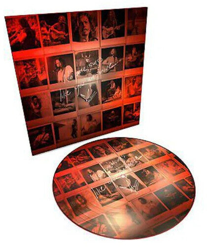 Chris Cornell: No One Sings Like You Anymore - VINYL
