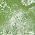 Steve Roden: Oionos  ( CD )