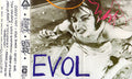 Sonic Youth: Evol - CASSETTES