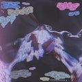 Catnapp: Trust - Vinyl