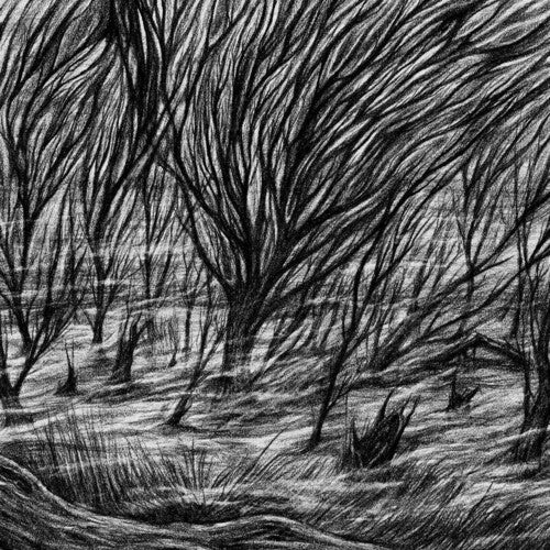 Bismuth: The Eternal Marshes - VINYL