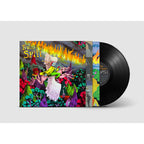 Built to Spill - When the Wind Forgets Your Name ( VINYL )