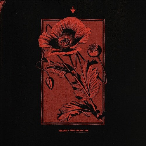 Kollaps: Until The Day I Die - Vinyl
