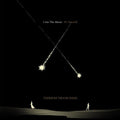 Tedeschi Trucks Band -  I Am The Moon: IV. Farewell ( VINYL )