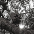 Ty Segall: Hello Hi - VINYL