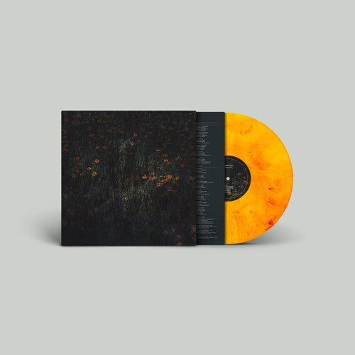 Compro Oro: Estarantos - VINYL
