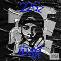 22Gz: The Blixky Tape  ( CD )