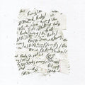 Body: Body/dilloway/head - Vinyl