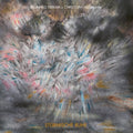 Ferrari, Brunhild & Christoph Heemann: Sturmische Ruhe - Vinyl