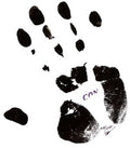 Conrad Schnitzler: Con 84  ( CD )