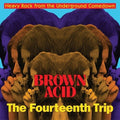 Various Artists - Brown Acid: The Fourteenth Trip ( VINYL )
