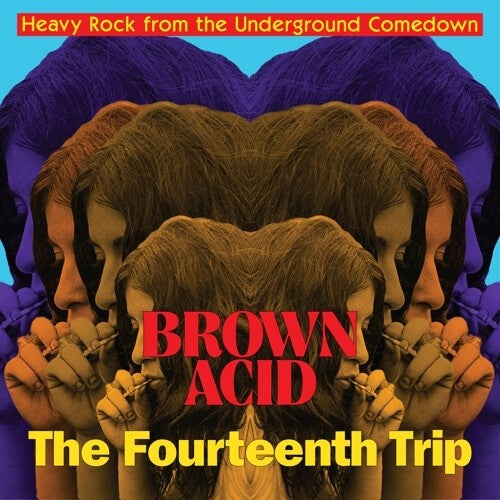 Various Artists - Brown Acid: The Fourteenth Trip ( VINYL )