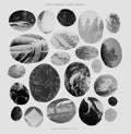 Mount Maxwell: Only Children - Vinyl