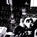 Diego Vasallo: Caemos Como Cae Un Angel - VINYL