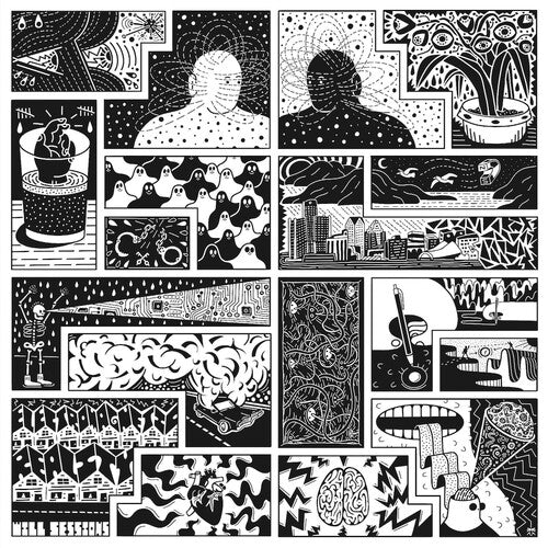 Will Sessions: Electromagnetic Reality - CD