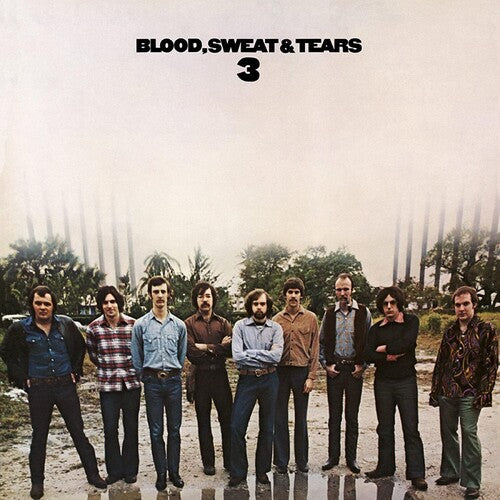 Blood, Sweat & Tears - 3 ( VINYL )