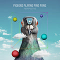 Pigeons Playing Ping Pong - Perspective ( VINYL )