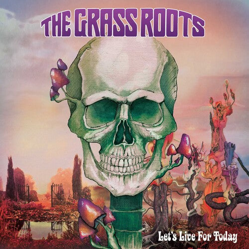 The Grass Roots - Let's Live For Today ( VINYL )