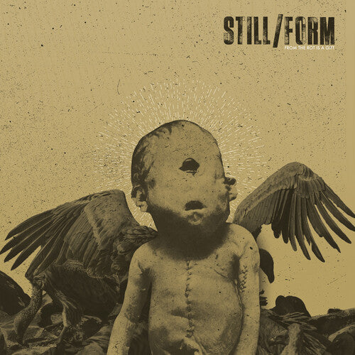 Still/Form: From The Rot Is A Gift - VINYL
