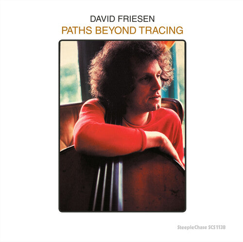 David Friesen: Paths Beyond Tracing - VINYL