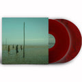 Devils Witches: In All Her Forms - Red/black - VINYL